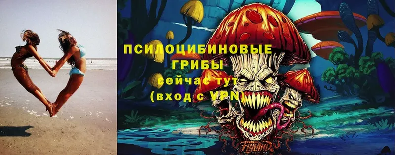 нарко площадка наркотические препараты  Коряжма  Галлюциногенные грибы Magic Shrooms 